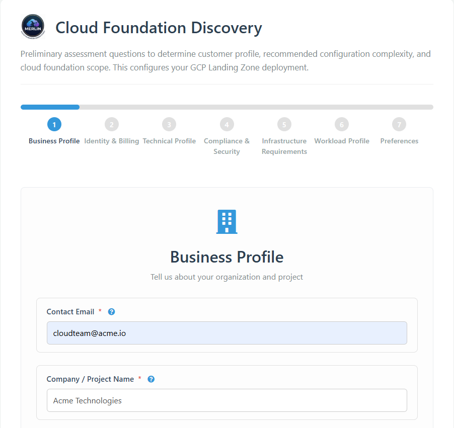 Merlin Discovery — business profile questionnaire